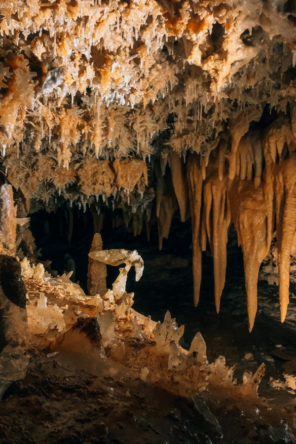 Grotte du Grand Roc – Perroquet