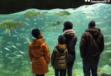 Aquarium du Périgord Noir