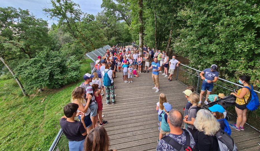 Le Parc du Thot-mediation-loups