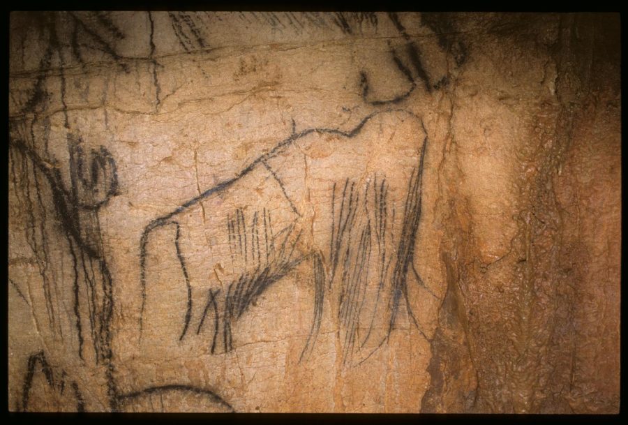 Pech Merle 11FNdetail