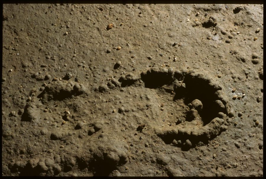 Pech Merle82traces de pas