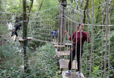 Le Bois des Elfes