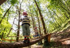 Le Bois des Elfes