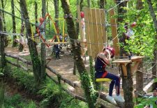 Le Bois des Elfes