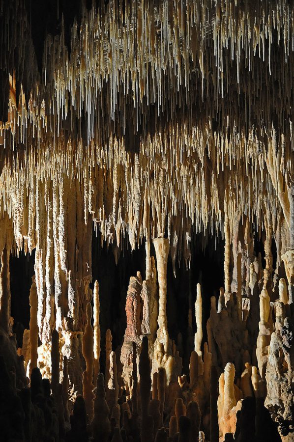 grotte_de_cougnac_concretions