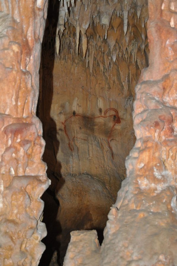 grotte_de_cougnac_bison_stalagtites