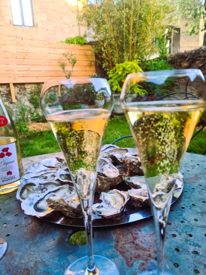 Périgord noir vallée Dordogne Le Boudoir terrasse jardin