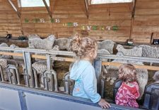 La Ferme des 4 vents