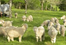 La Ferme des 4 vents