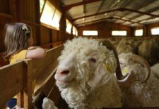 La Ferme des 4 vents