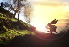 L&rsquo;Ordalie – Escape Game