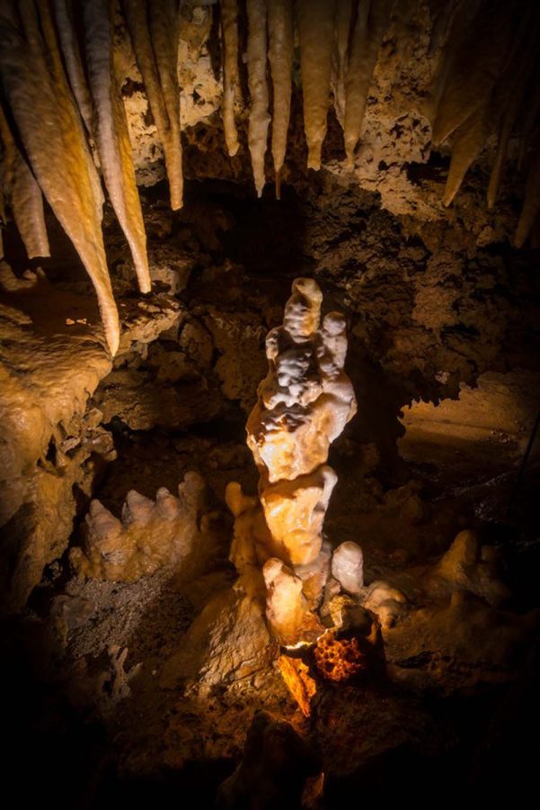 –Dan-Courtice—GdRoc—DAN-1775-Web