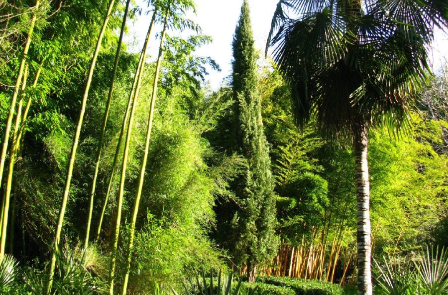 1-Jardin-de-PLANBUISSON