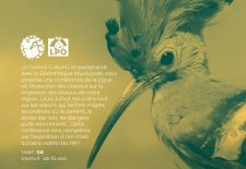 Conférence : Les oiseaux migrateurs