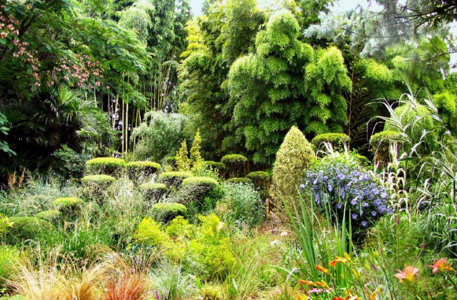 6–Jardin-de-PLANBUISSON