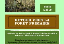 Retour vers la forêt primaire