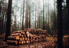 15ème Journée forestière du sud Dordogne