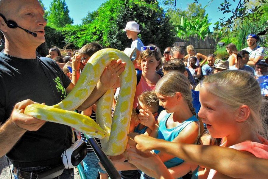 Aquarium-du-Perigord-Noir-5 3