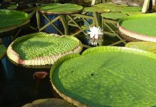 Les Jardins d&rsquo;Eau