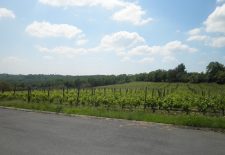 Boucle du Chai de Moncalou