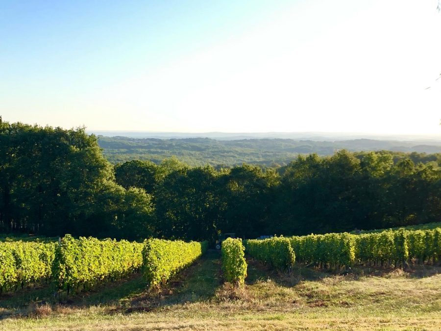 Domaine Chante l’Oiseau