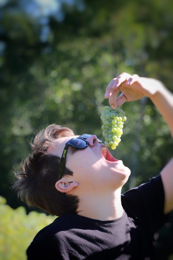 Domaine Chante l’Oiseau