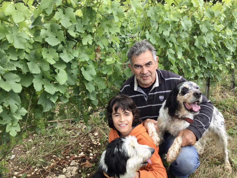 Domaine de Lasfargues