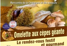 Rencontre de la châtaigne et des Saveurs