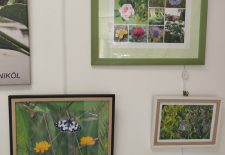 Exposition de Nikôl à l&rsquo;office de tourisme de Saint Cyprien