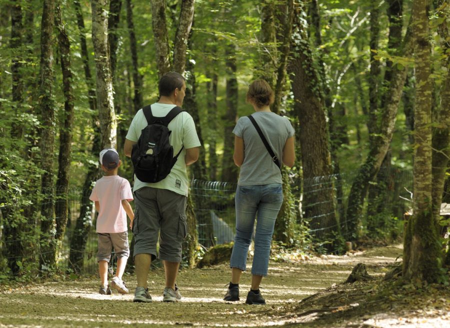 LOI_dinoparc 2_St Léon_fév 2023 (2)