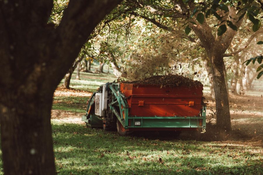 Les Noyeraies du landers-108