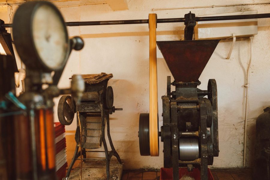 Les Noyeraies du landers-81