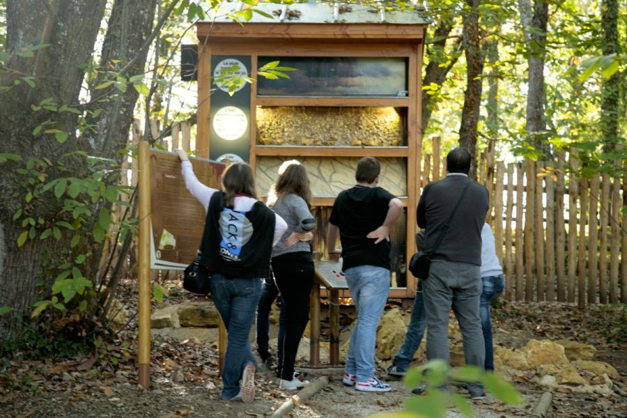 Gouffre de Proumeyssac