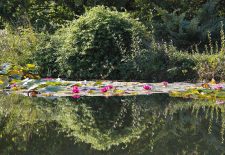 Les Jardins d&rsquo;Eau