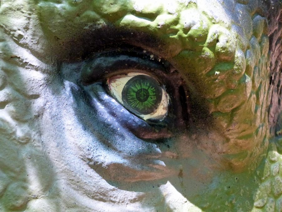 P1100686 ere sec espace photo oeil