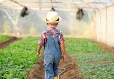 Printemps à la ferme de Turnac