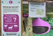 Les sentiers de la Châtaigne