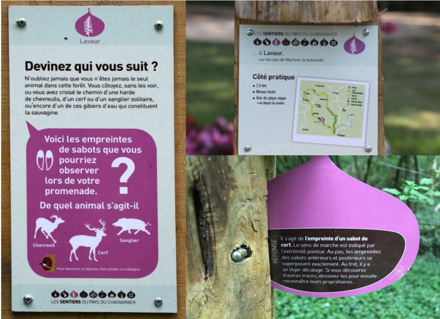 Sentiers de la Chataigne