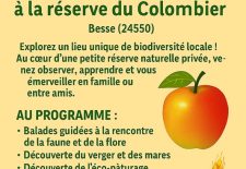 Sortie Nature à la réserve du Colombier à Besse