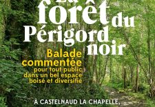 Balade commentée – Forêt Perigord Noir