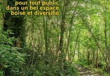 La Forêt du Perigord Noir: Balade commentée