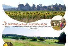 Balade découverte créative des paysages