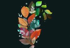 Terre en vert : Troc de plantes d&rsquo;automne