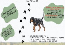 Concours Départemental de Chien de Pied de Sanglier