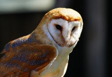 Terre en Vert : Conférence-Débat animée par Michel Ribette