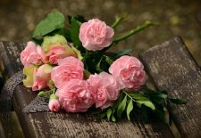 Micro-Folie : Fête de la Fleur
