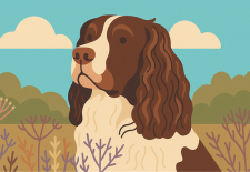 Concours Départemental de Chien de Pied de Sanglier