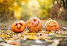 Halloween à la Filature de Laine de Belvès