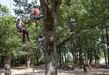 Été actif : Grimpe d&rsquo;arbres