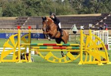 Concours Hippique : Périgord Tour 2026